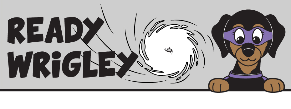 Family Reunification Resources